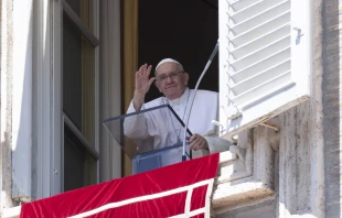 Pope Francis waves to pilgrims during the Angelus Aug. 14, 2022. Vatican Media