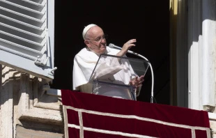 Pope Francis at the Angelus Nov. 27, 2022. Vatican Media.