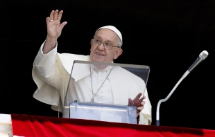 Pope Francis addresses pilgrims in St. Peter's Square for the Sunday Angelus, July 28, 2024. Credit: Vatican Media