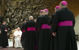 Pope Francis greets Catholic bishops on a pilgrimage from Slovakia to Rome on April 30, 2022 Vatican Media