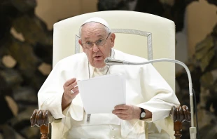 Pope Francis speaks at the general audience in Vatican City's Paul VI Hall on Feb. 22, 2023. Vatican Media