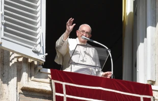 Pope Francis at the Angelus on Nov. 13, 2022. Credit: Vatican Media.