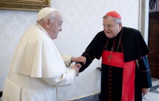 Pope Francis meets with Cardinal Raymond Burke on Dec. 29, 2023, at the Vatican. Credit: Vatican Media