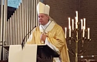 Bishop Rob Mutsaerts, auxiliary bishop of the Diocese of ’s-Hertogenbosch, in the Netherlands. Credit: Danny Gerrits/wikiportret.nl via Wikimedia (CC-BY-SA 4.0)