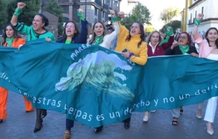 Pro-abortion activists march in Mexico City on Nov. 26, 2024. Credit: Congress of the State of Mexico