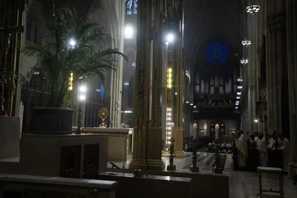 Thousands adore the Lord in the Eucharist at a Holy Hour and Mass at St. Patrick Cathedral in New York City before a Eucharistic procession on Oct. 15, 2024. Credit: Jeffrey Bruno