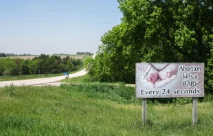 A pro-life sign is seen on a roadside in Agnew, Nebraska, on May 14, 2024. Credit: CHARLY TRIBALLEAU/AFP via Getty Images