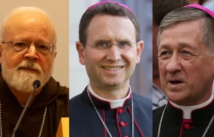 Cardinal Seán O’Malley, Bishop Andrew Cozzens, and Cardinal Blase Cupich. Credit: Daniel Ibañez/CNA and Diocese of Crookston