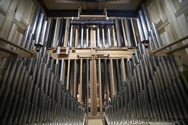 Tisuće cijevi duž unutrašnjosti novih galerijskih orgulja u katedrali Svetog srca u Richmondu, Virginia, svibanj 2024. Zasluge: Alexa Edlund