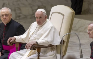 Pope Francis at the general audience in the Vatican, Aug. 24, 2022 Pablo Esparza / CNA