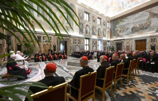 Pope Francis meets with the Dicastery for Culture and Education at the Vatican on Nov. 21, 2024. Credit: Vatican Media