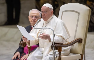 Pope Francis continued a series of lessons on the Holy Spirit during his weekly meeting with the public in the Vatican's Paul VI Hall on Aug. 21, 2024. Credit: Daniel Ibanez/CNA