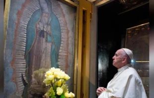 Pope Francis prays before an image of Our Lady of Guadalupe. Credit: Vatican Media