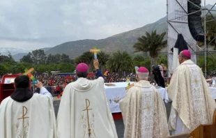 Pilgrims from different parts of the country walked 17 miles to the shrine of St. Teresa of the Andes, where the archbishop of Santiago, Fernando Chomali, offered the Eucharist. Credit: Courtesy of the Archdiocese of Santiago, Chile