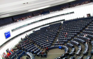 The European Parliament in Strasbourg, France. fotogoocom via Wikimedia (CC BY 3.0).