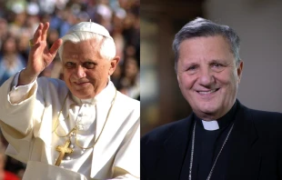 Pope Benedict XVI in 2005 and Cardinal Mario Grech in 2022 Vatican Media (L) and Daniel Ibanez/CNA (R)