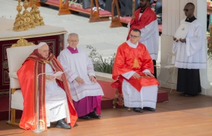 Pope Francis presided over Palm Sunday Mass in St. Peter's Square on April 2, 2023. Daniel Ibanez/CNA