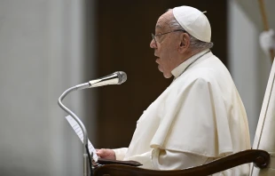 Pope Francis speaks to pilgrims gathered in the Paul VI Audience Hall for his general audience on Wednesday, Dec. 11, 2024, at the Vatican. Credit: Vatican Media