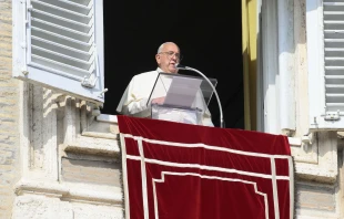 Pope Francis delivers his Sunday Angelus message from a window of the Apostolic Palace overlooking St. Peter’s Square on Oct. 27, 2024. Credit: Vatican Media