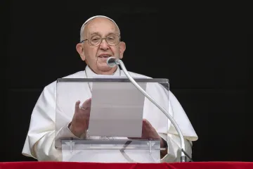 Pope Francis Angelus