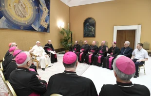 Pope Francis meets with the bishops of the Arabian region on Aug. 28, 2024, at the Vatican. Credit: Vatican Media