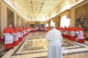Pope Francis canonization