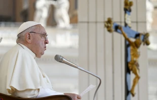 Pope Francis addresses pilgrims gathered in St. Peter’s Square for his general audience on Wednesday, Aug. 28, 2024. Credit: Vatican Media