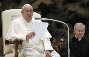 Pope Francis addresses pilgrims gathered for his general audience on Wednesday, Dec. 18, 2024, at the Vatican. Credit: Vatican Media