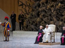 Pope Francis addresses pilgrims gathered in the Paul VI Audience Hall at the Vatican for his general audience on Wednesday, Dec. 11, 2024.