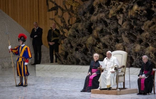 Pope Francis addresses pilgrims gathered in the Paul VI Audience Hall at the Vatican for his general audience on Wednesday, Dec. 11, 2024. Credit: Daniel Ibañez/CNA