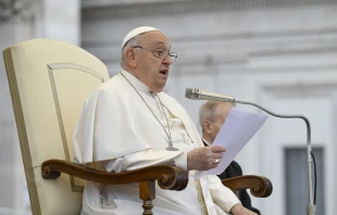 Pope Francis addresses pilgrims gathered for his Wednesday general audience on Nov. 20, 2024, in St. Peter’s Square at the Vatican. Credit: Vatican Media