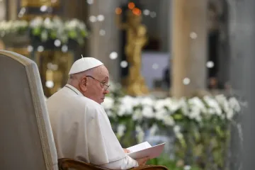 Pope Francis Our Lady of the Snows