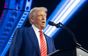 President-elect Donald Trump speaks during Turning Point USA’s AmericaFest at the Phoenix Convention Center on Dec. 22, 2024, in Phoenix. Credit: Rebecca Noble/Getty Images