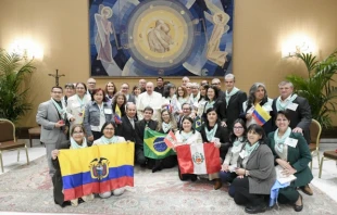 Pope Francis with members of “Project Hope,” a program of accompaniment for the spiritual and emotional healing of women and men who suffer the consequences of having chosen abortion, on Oct. 30, 2024. Credit: Vatican Media