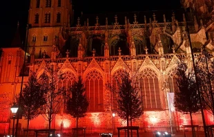 St. John’s Cathedral in the Netherlands is lit up for Red Wednesday on Nov. 23, 2022. Credit: Ldhank, CC BY-SA 4.0, via Wikimedia Commons