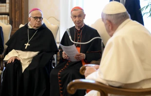 Pope Francis meets with members of the Pontifical Biblical Institute on April 20, 2023, at the Vatican. Vatican Media