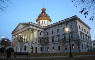 The South Carolina State House passed a bill banning transgender procedures on minors on May 19, 2024. Credit: Public Domain