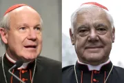 Cardinals Schoenborn and Mueller