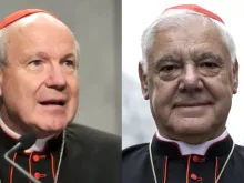 Cardinals Christoph Schönborn and Gerhard Ludwig Müller.