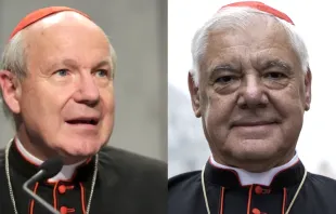Cardinals Christoph Schönborn and Gerhard Ludwig Müller. Credit: Daniel Ibáñez/CNA