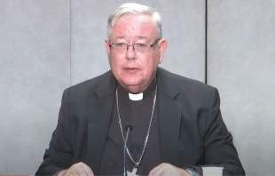 Cardinal Jean-Claude Hollerich, SJ, speaking at a press conference in the Vatican on Aug. 26, 2022. Vatican News YouTube Channel