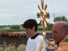 Cows in Nebraska watch as the Eucharistic Jesus passes by.