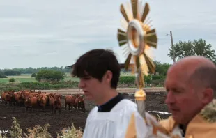 Cows in Nebraska watch as the Eucharistic Jesus passes by. Credit: Jeffrey Bruno