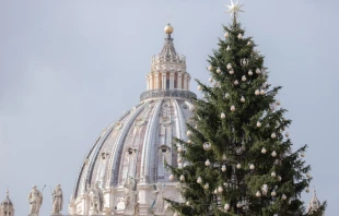 The dome of St. Peter’s Basilica and the Vatican Christmas tree, Dec. 9, 2021. Daniel Ibáñez/CNA.