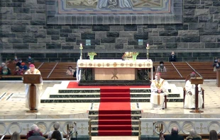 Bishop Brendan Kelly (speaking) and Bishop Michael Duignan (seated) concelebrate Mass at Galway Cathedral, Feb. 11, 2022. Screenshot from galwaycathedral.ie