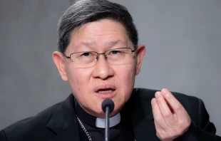 Cardinal Luis Antonio Tagle, president of Caritas Internationalis, at the Vatican on Oct. 21, 2021. Daniel Ibáñez/CNA.