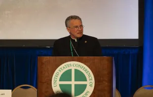 USCCB president Archbishop Timothy Broglio speaks at the bishops' spring meeting, Thursday, June 13, 2024. Credit: USCCB