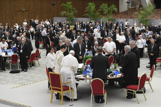 pope francis synod