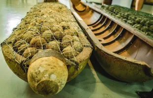 Cluster bomb. Credit: aindigo/Shutterstock