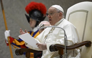 Pope Francis speaks at his general audience Dec. 13, 2023, in the Paul VI Hall at the Vatican. Credit: Vatican Media